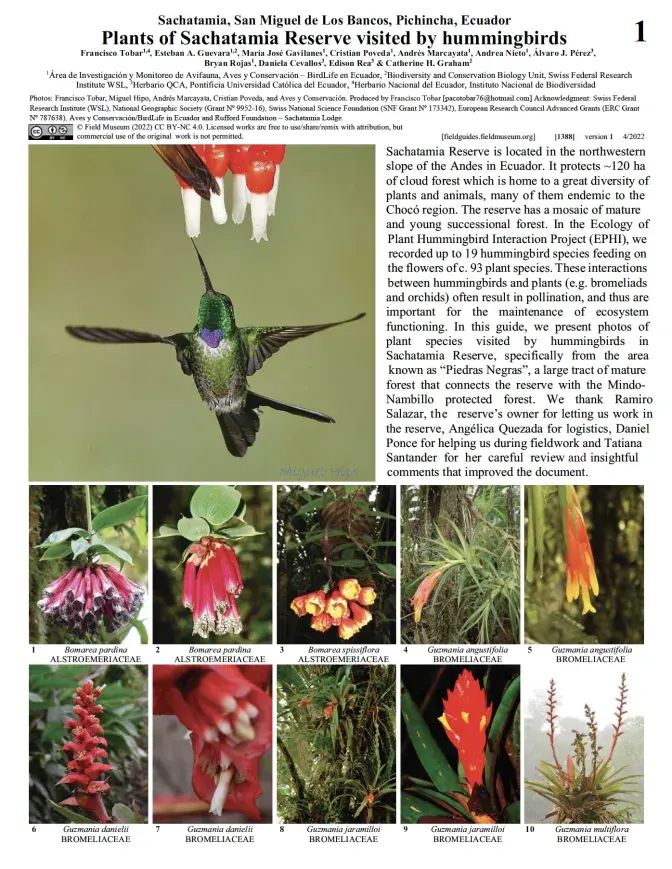 1388_ecuador_sachatamia_pichincha_plants_hummingbirds.pdf 