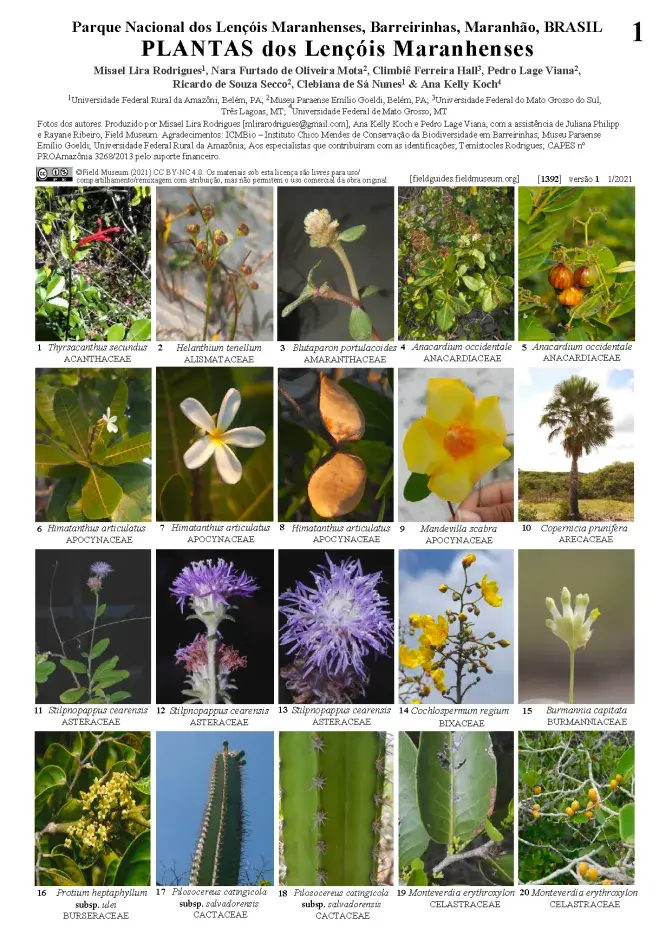  1392_brazil_plants_of_lencois_maranhenses_national_park.pdf