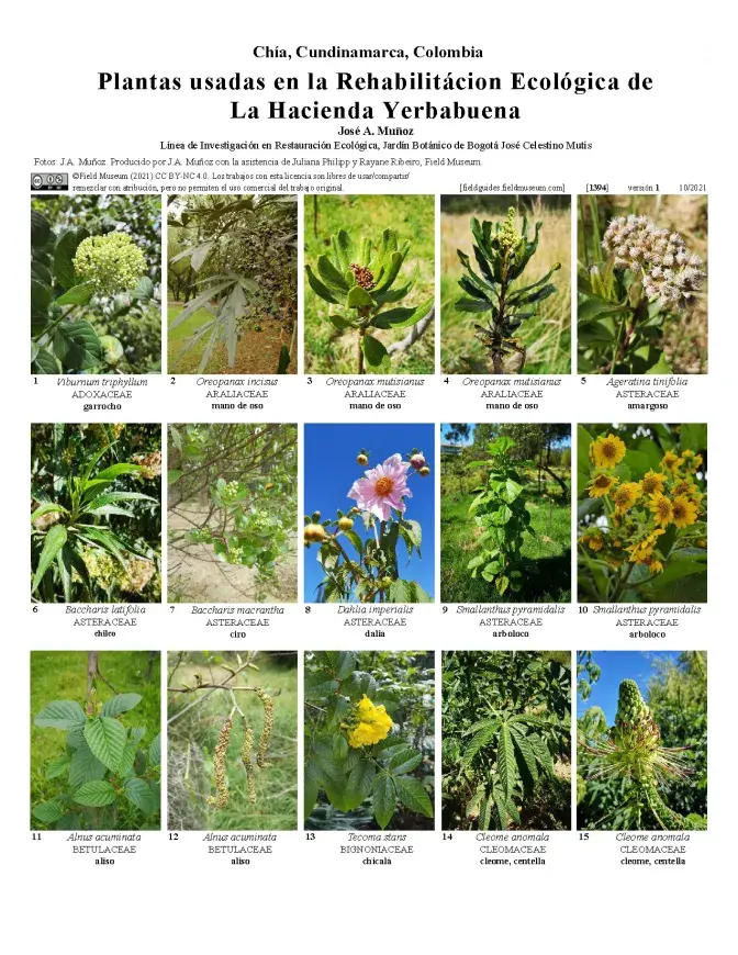 1394_colombia_plants_used_in_the_ecological_rehabilitation_of_yerbabuena.pdf