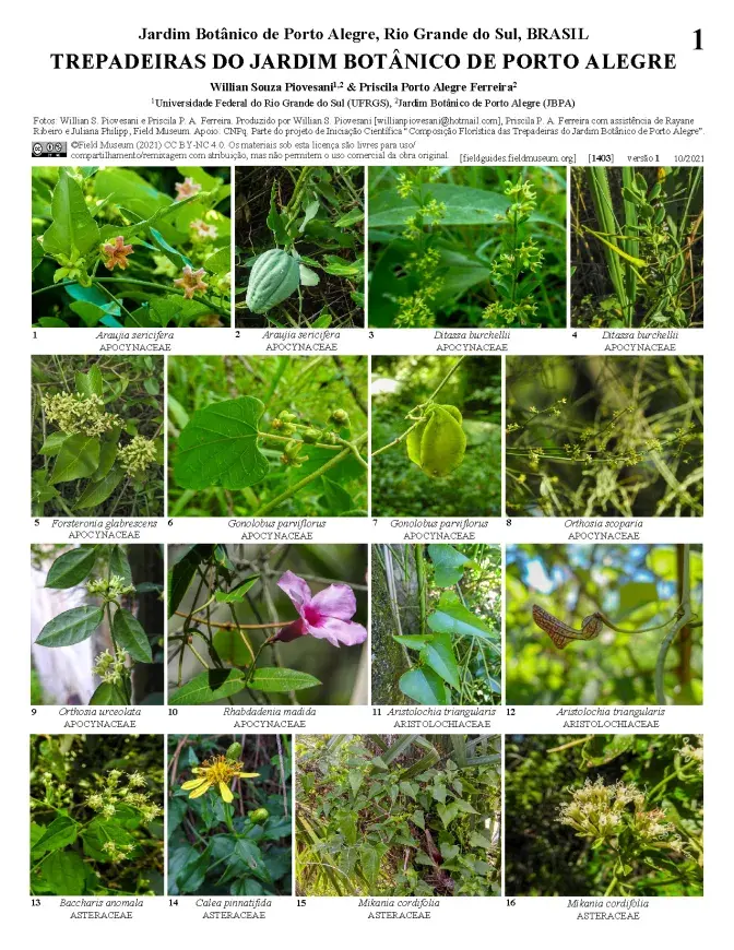 1403_brazil_climbing_plants_of_porto_alegre_botanical_garden.pdf 