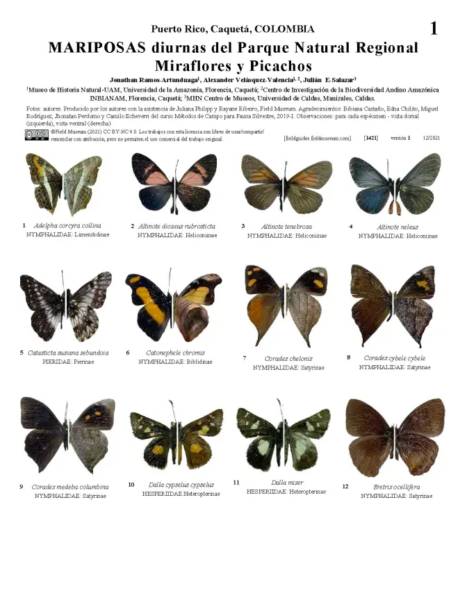 1421_colombia_butterflies_of_miraflores_picachos_park.pdf 