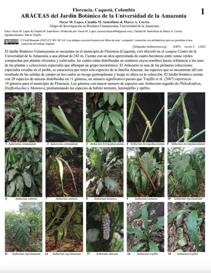 1437_colombia_araceas_jardinbotanico_universidadamazonia.pdf
