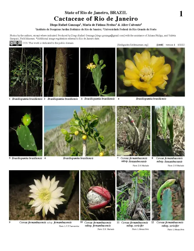 1440_brazil_cactaceae_of_rio_de_janeiro.pdf