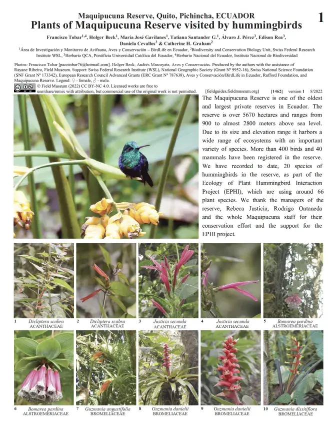 1462_ecuadorplants_of_maquipucuna_reserve_visited_by_hummingbirds.pdf 