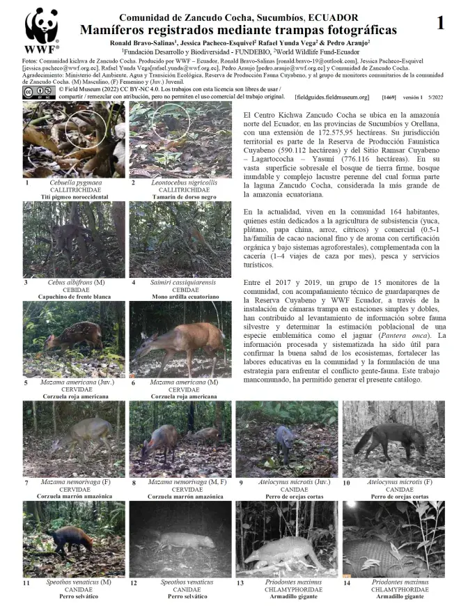 1469_ecuador_mammals_of_zancudo_costa_community.pdf
