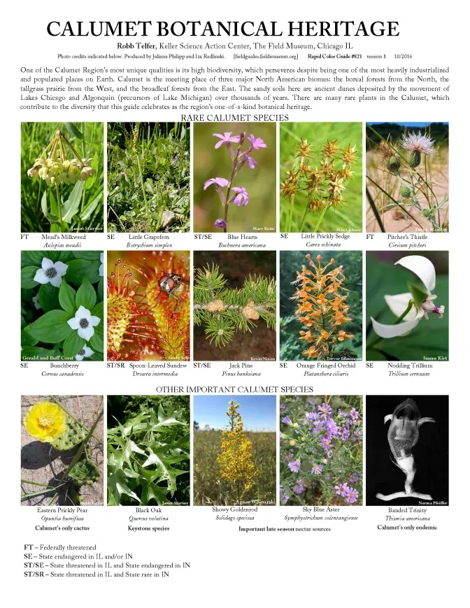 821_usa-calumet_botanic_heritage.pdf
