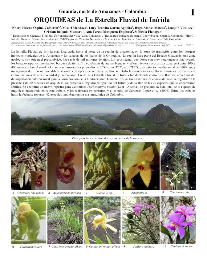 932_colombia_orchids_of_guainia.pdf