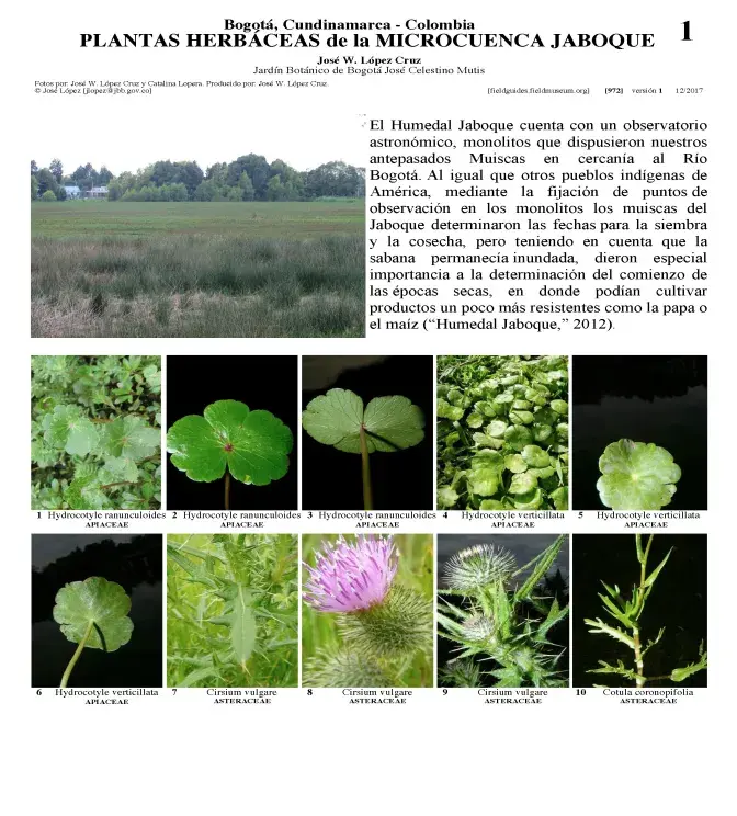972_colombia_plantas_de_microcuenca_jaboque.pdf 