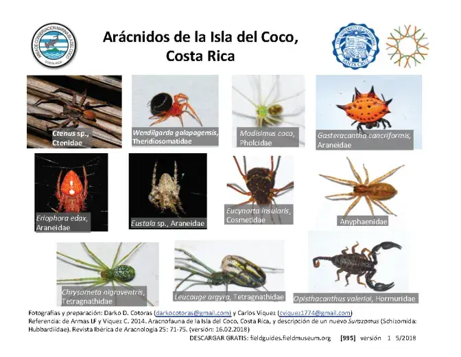 995_costa_rica_spiders_of_cocos_island.pdf